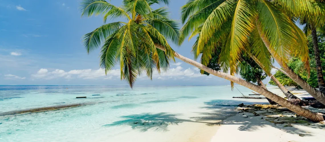 malediven-strand-palmen-g-1041384408